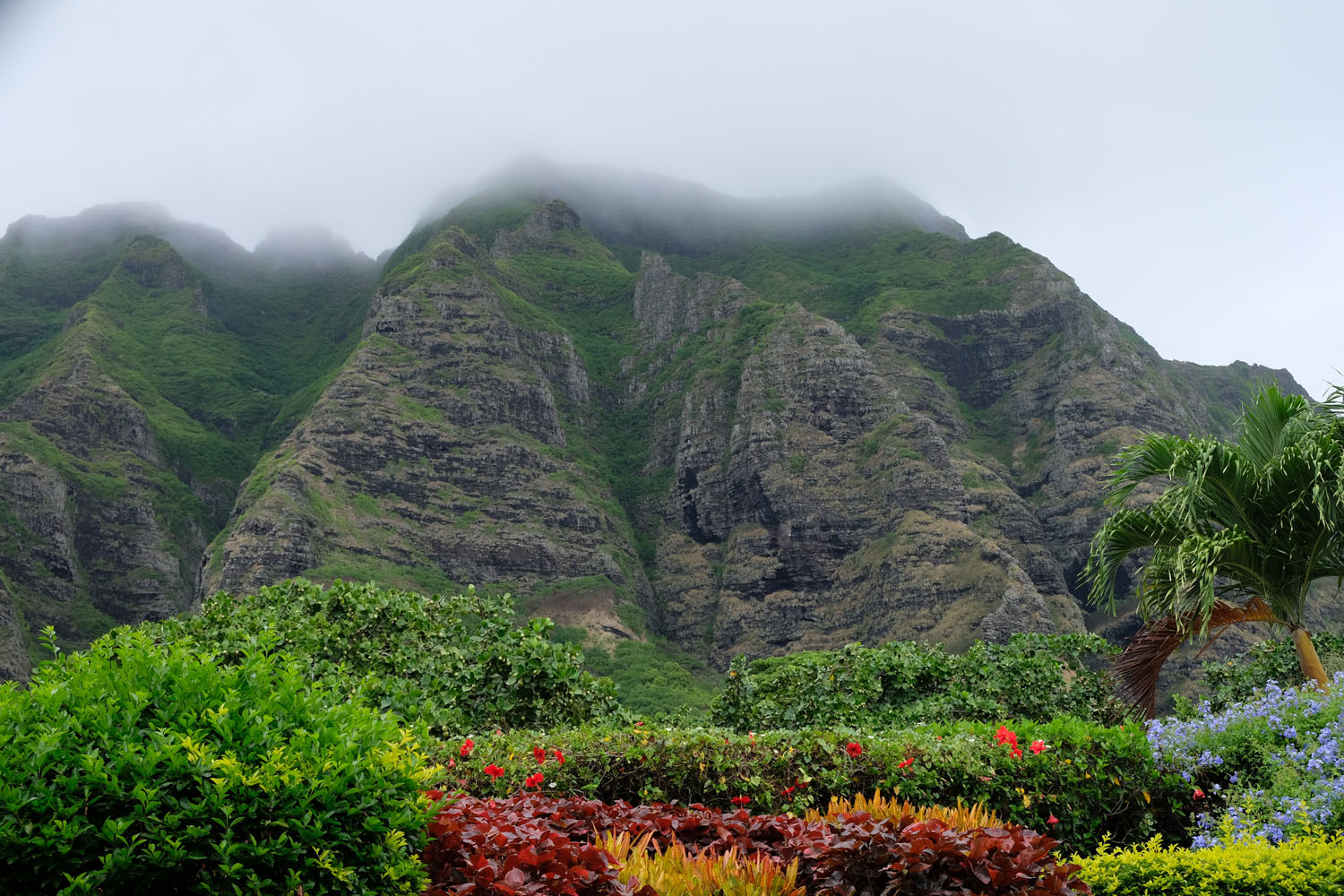 Hawaii resa Yoga Utflykter Annika Undeborn
